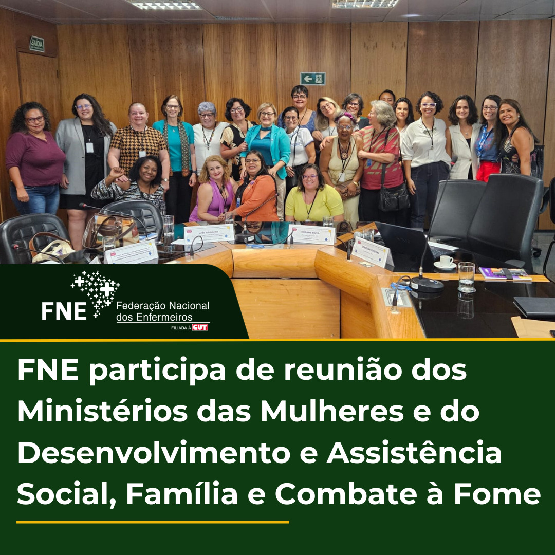 FNE participa de reunião dos Ministérios das Mulheres e do Desenvolvimento e Assistência Social, Família e Combate à Fome