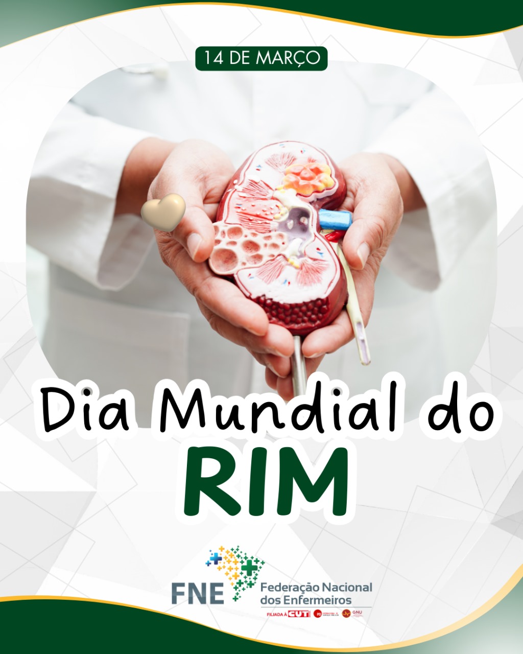 14 de março - Dia Mundial do Rim