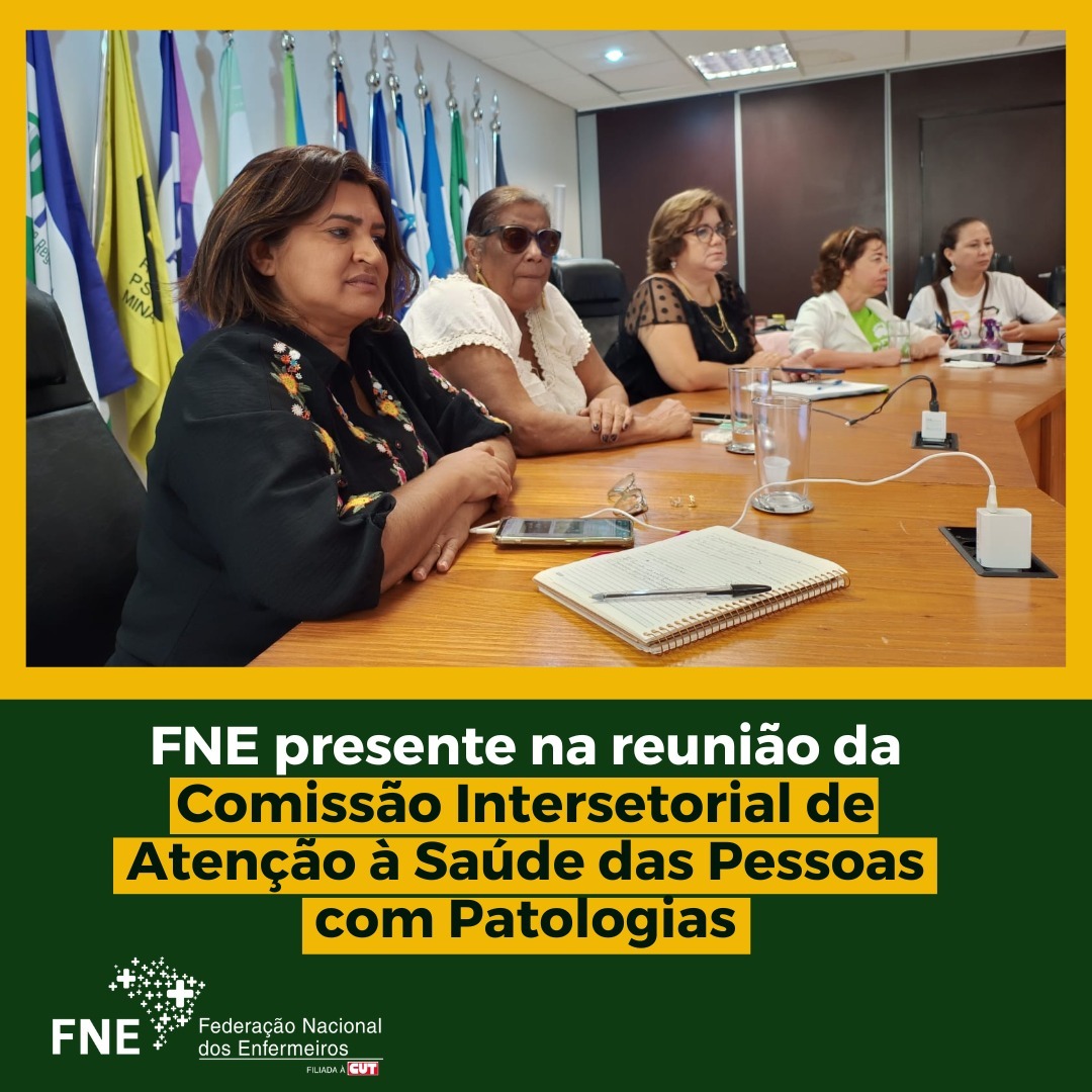 FNE participa de 13ª Reunião Ordinária da Comissão Intersetorial de Atenção à Saúde das Pessoas com Patologias