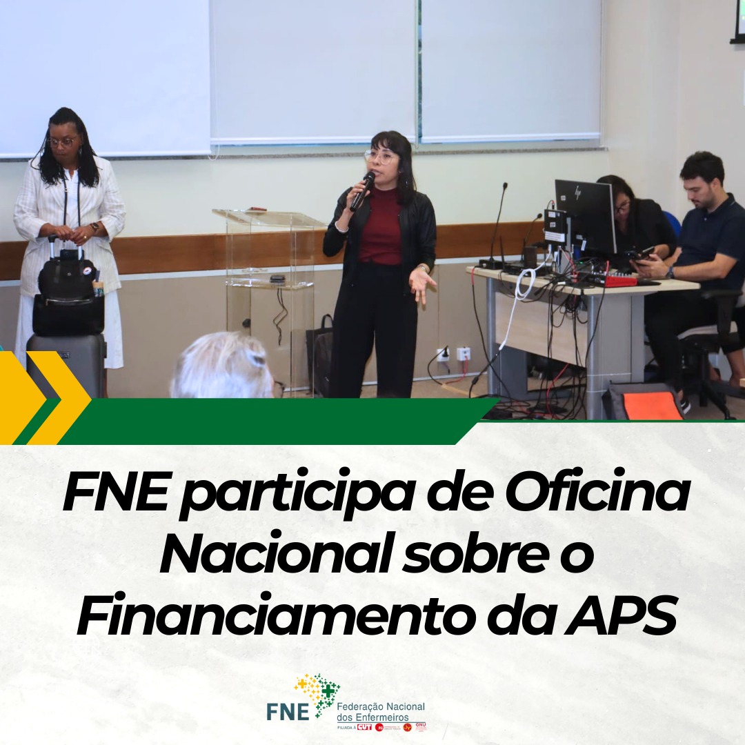 FNE participa de Oficina Nacional sobre o Financiamento da APS