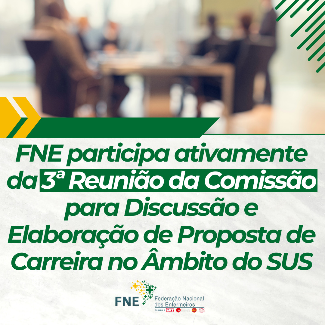 FNE participa ativamente da 3ª Reunião da Comissão para Discussão e Elaboração de Proposta de Carreira no Âmbito do SUS